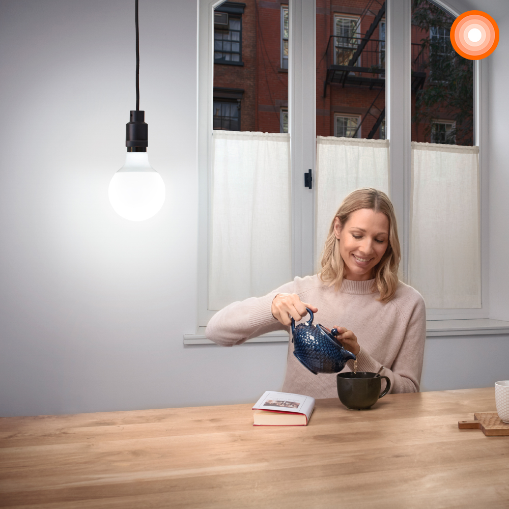 LAMPARA LED GLOBO 12 - 80W 6500k