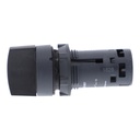 LLAVE SELEC.PLAS.2 POS.NA SCHNEIDER  XB7ND21   