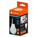 LAMPARA LED BULB  7 - 60W LD LEDVANCE
