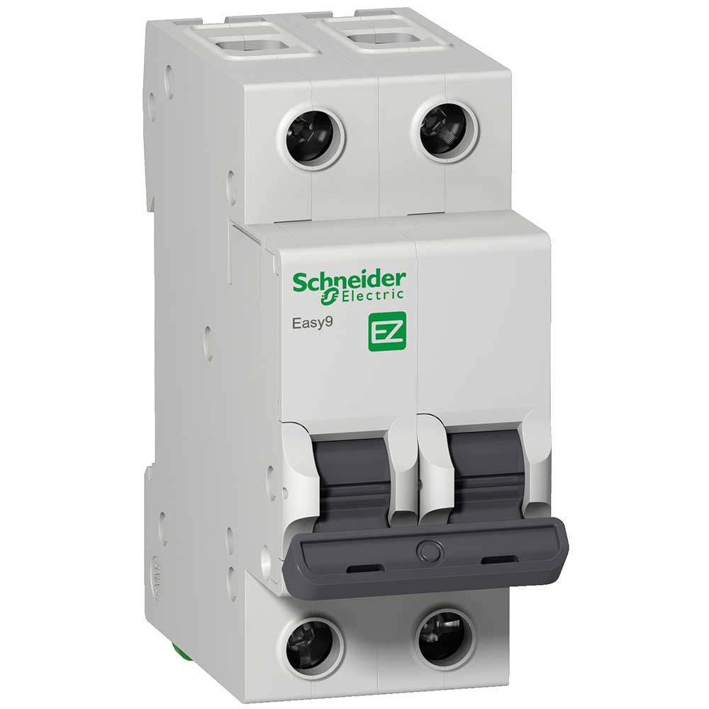 TERMOMAGNETICA 2X 25A  SCHNEIDER EASY9 4,5KA