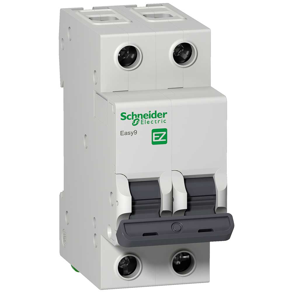 TERMOMAGNETICA 2X 50A  SCHNEIDER EASY9 4,5KA