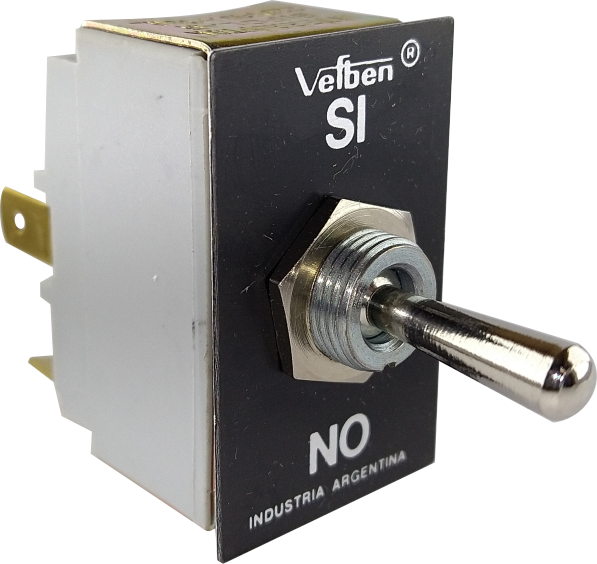 INTERRUPTOR 2X10A PALANCA METÁLICA 12AP