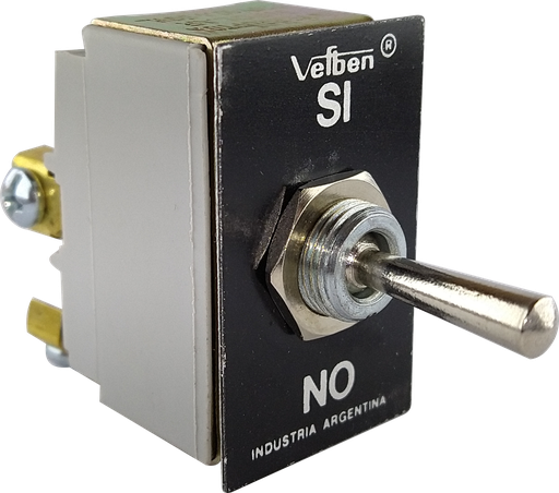 [846] INTERRUPTOR 2X10A PALANCA METÁLICA 12A