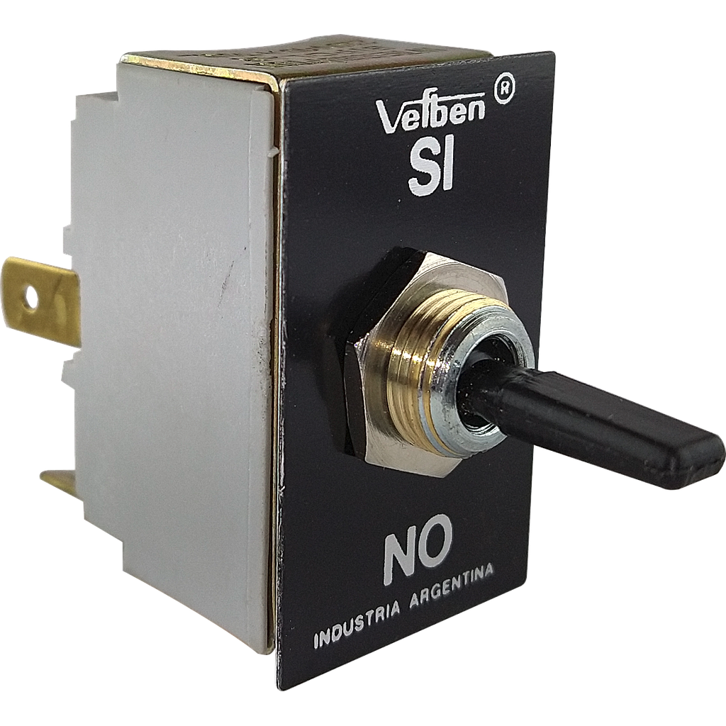 [849] INTERRUPTOR 2X10A PALANCA NYLON 12ANP